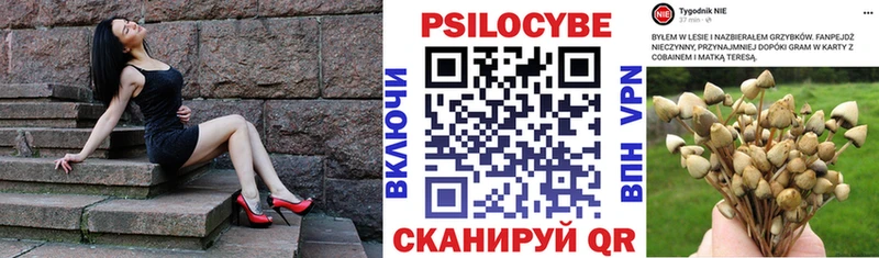 закладка  Среднеуральск  Псилоцибиновые грибы Psilocybine cubensis 
